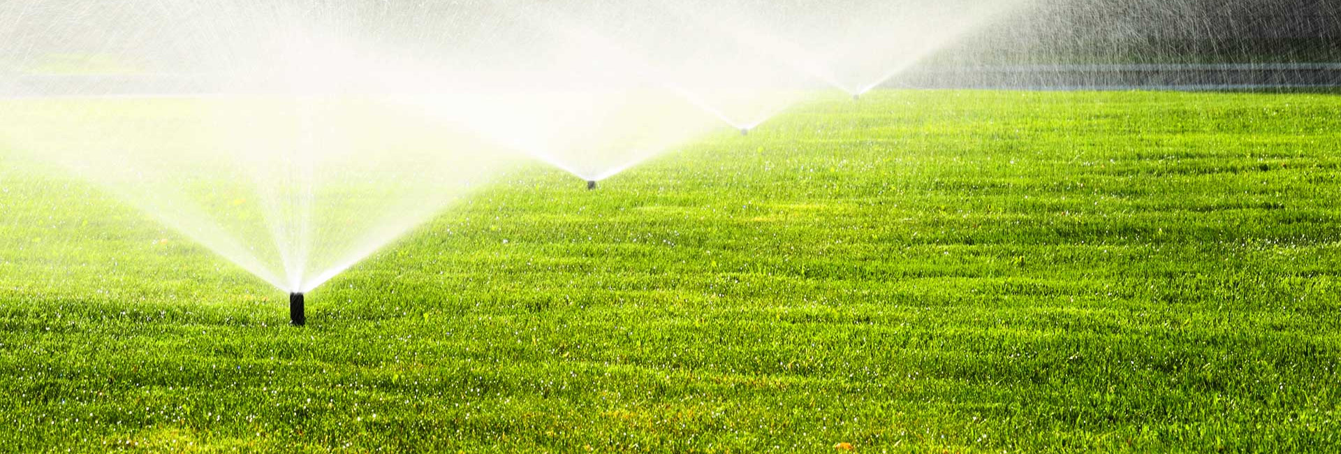 Gardeners in Dubai