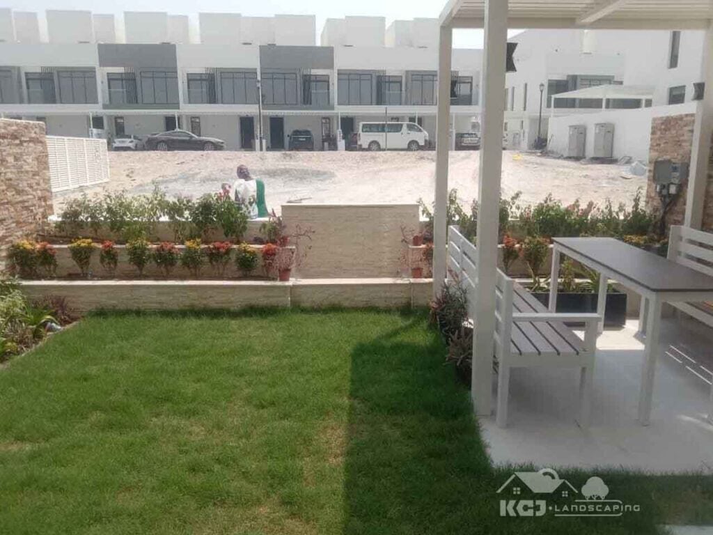 natural grass dubai