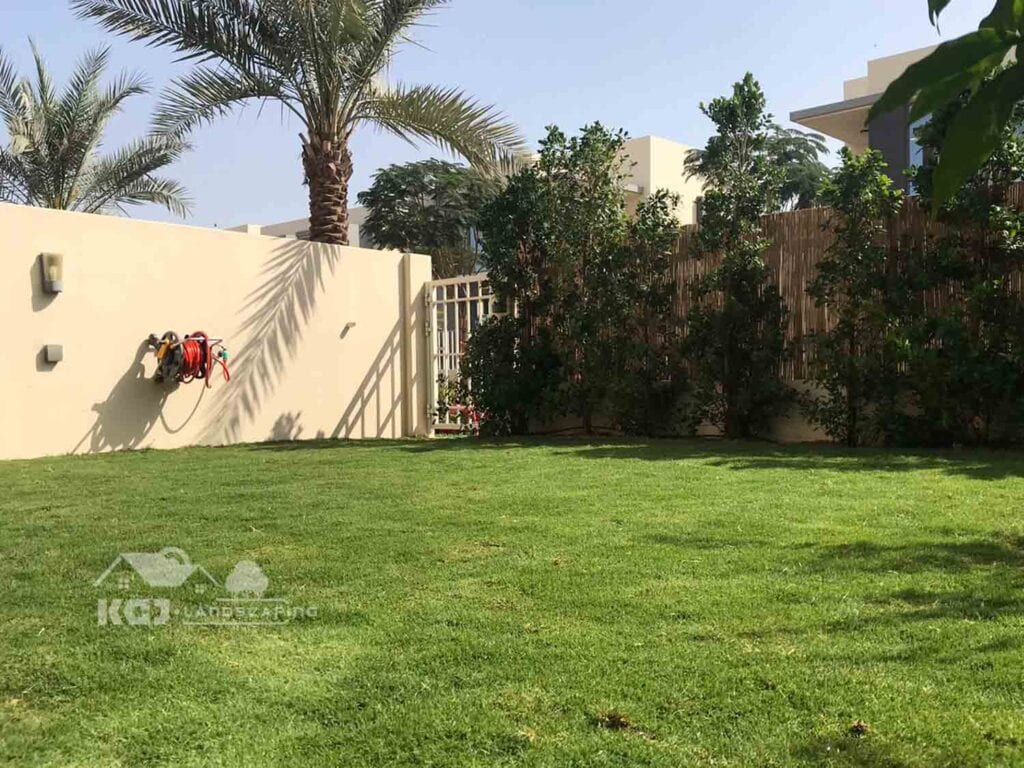 Natural Grass Installation Dubai